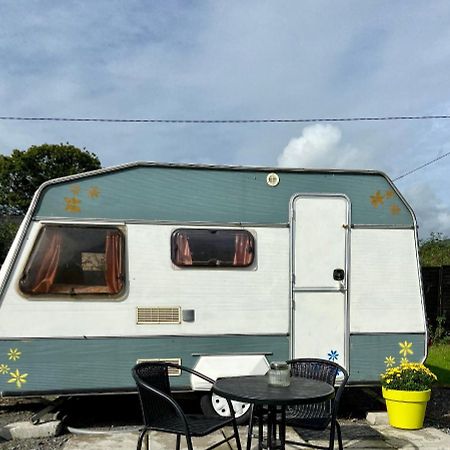 Cosy Caravan At Carrigeen Glamping Килкени Екстериор снимка