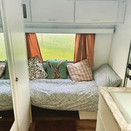 Cosy Caravan At Carrigeen Glamping Hotel Килкени Екстериор снимка