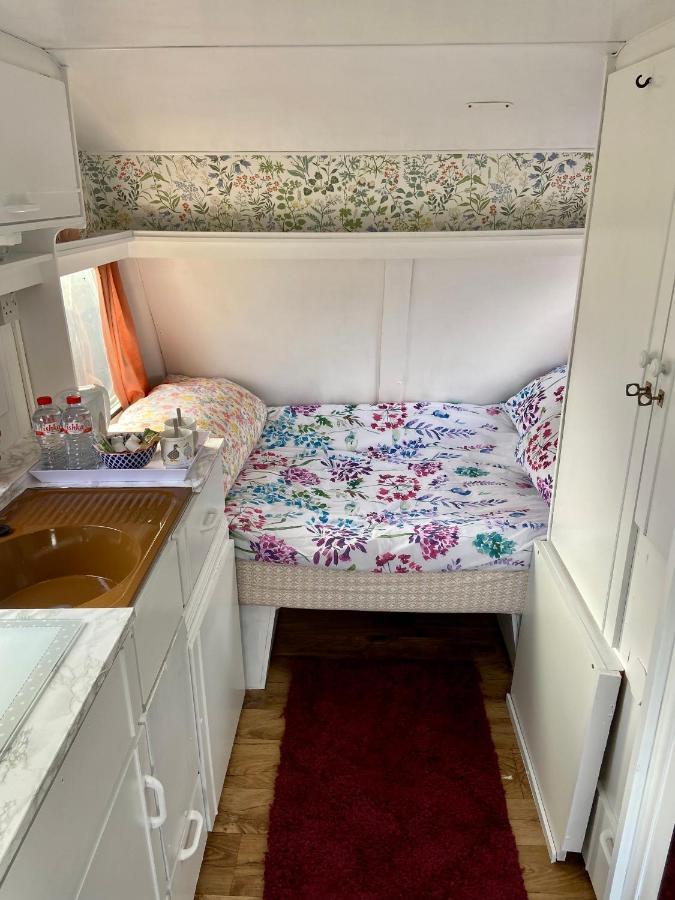 Cosy Caravan At Carrigeen Glamping Hotel Килкени Екстериор снимка