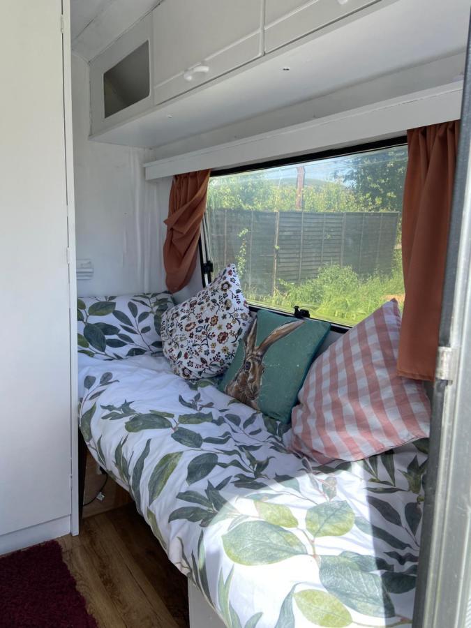 Cosy Caravan At Carrigeen Glamping Hotel Килкени Екстериор снимка